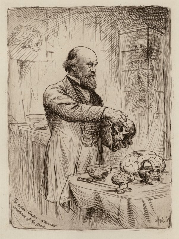  av William Brassey (after) Hole