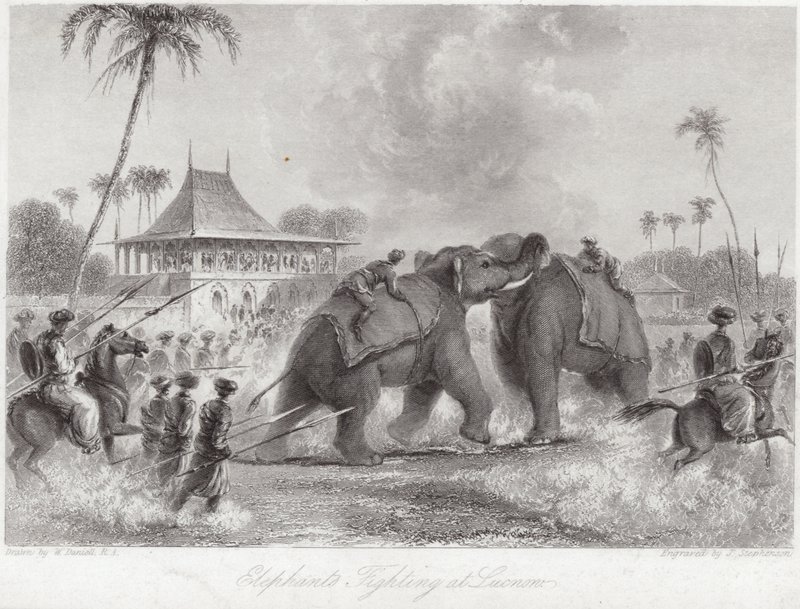 Elefanter som kjemper ved Lucknow av William Daniell