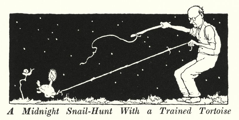 En midnattsneglejakt med en trenet skilpadde (litho) av William Heath Robinson