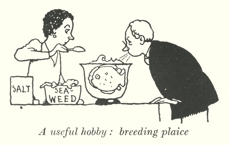 En nyttig hobby, avl rødspette (litho) av William Heath Robinson
