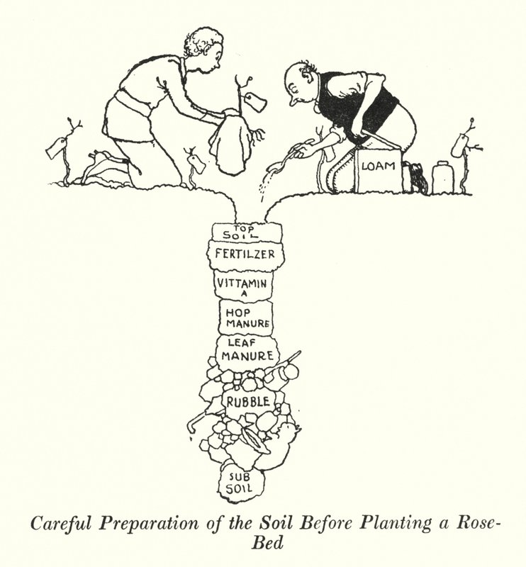 Nøye forberedelse av jorda før du planter et rosebed (litho) av William Heath Robinson