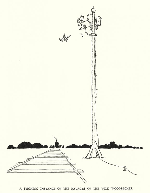 Illustrasjon for Railway Ribaldry av W Heath Robinson (litho) av William Heath Robinson
