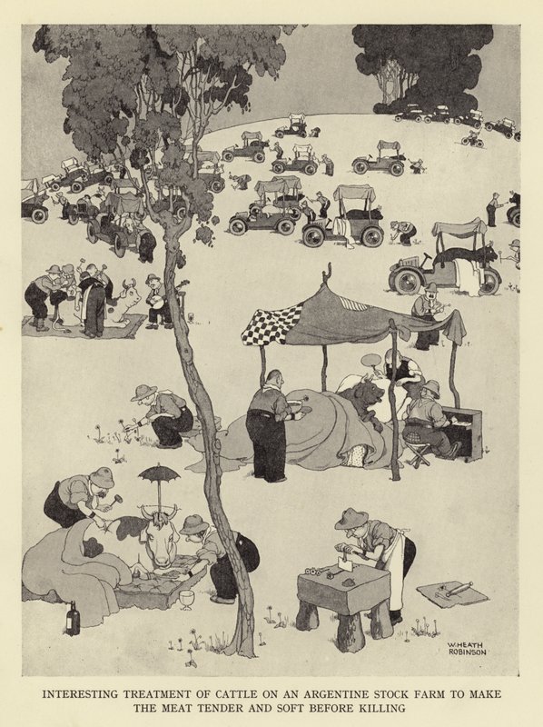 Interessant behandling av storfe på en argentinsk oppdrettsgård for å gjøre kjøttet mørt og mykt før det drepes av William Heath Robinson