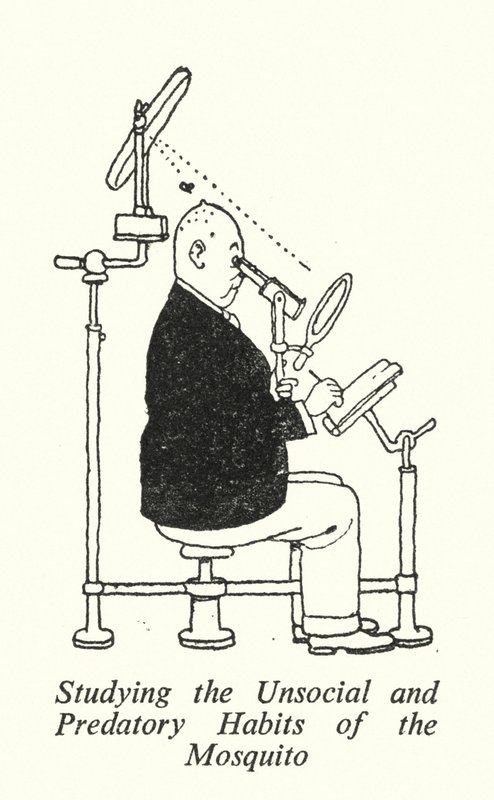 Studerer myggens usosiale og rovdyrvaner (litho) av William Heath Robinson