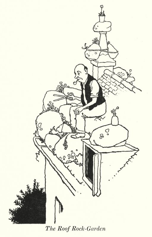 The Roof Rock-Garden (litho) av William Heath Robinson