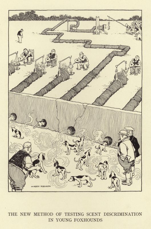 Den nye metoden for å teste luktdiskriminering hos unge revehunder av William Heath Robinson