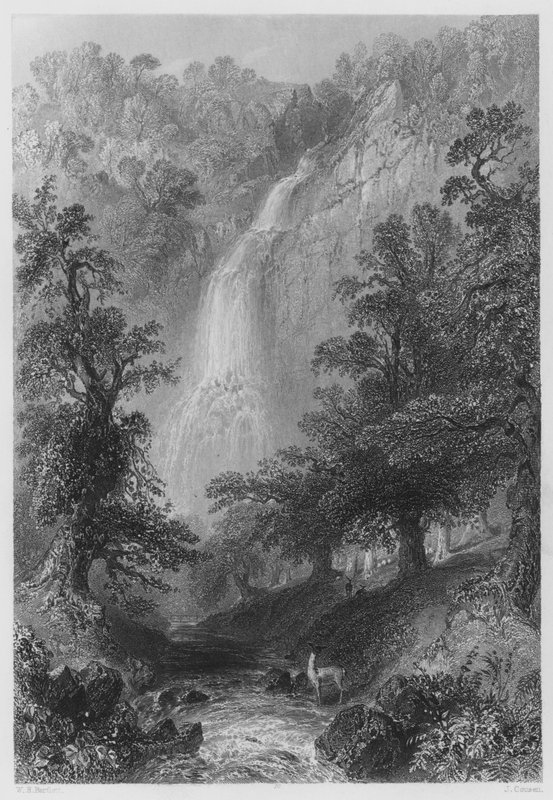 Powerscourt Fall (gravering) av William Henry (after) Bartlett