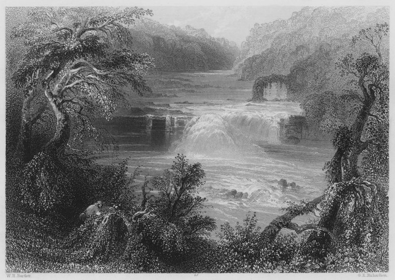 Laksesprang ved Leixlip (gravering) av William Henry (after) Bartlett