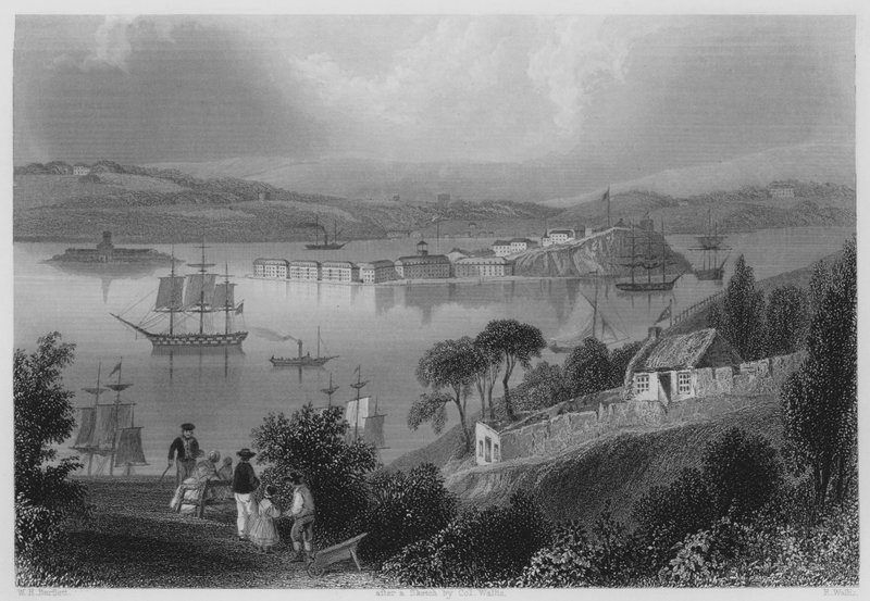 The Cove of Cork, nå Queenstown (gravering) av William Henry (after) Bartlett