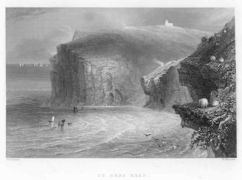 St Bees Head av William Henry Bartlett