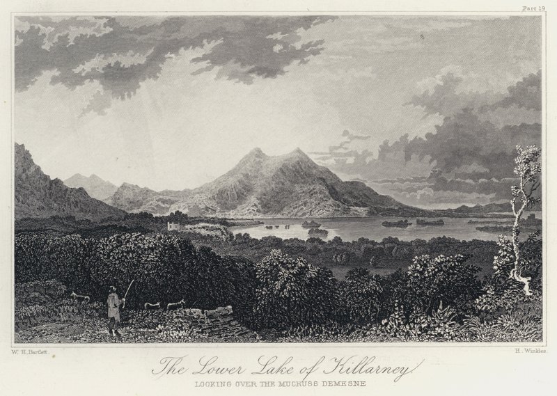 The Lower Lake of Killarney, med utsikt over Mucruss Demesne (gravering) av William Henry Bartlett