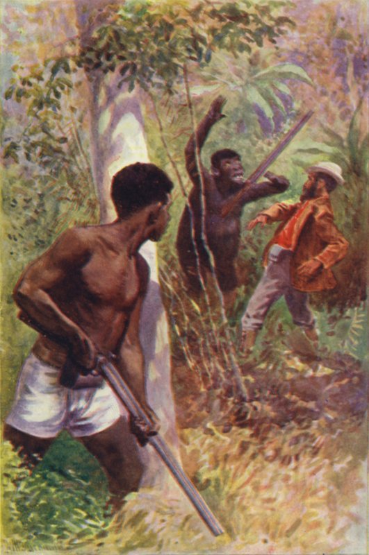 Illustrasjon for The Gorilla Hunters av RM Ballantyne (farge litho) av William Henry Charles Groome