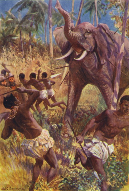 Illustrasjon for The Gorilla Hunters av RM Ballantyne (farge litho) av William Henry Charles Groome