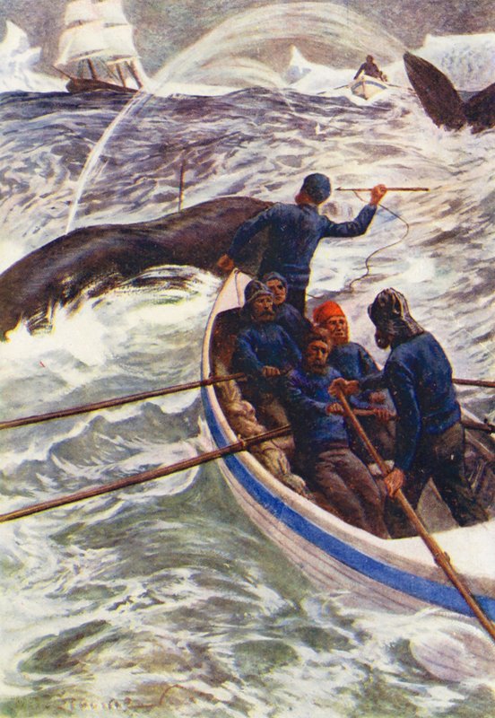 Illustrasjon for The World of Ice eller Hvalfangstcruise av Delfinen (farge litho) av William Henry Charles Groome