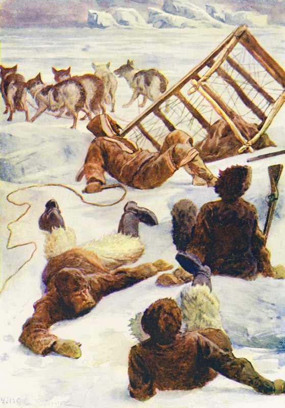 Illustrasjon for The World of Ice eller Hvalfangstcruise av Delfinen (farge litho) av William Henry Charles Groome