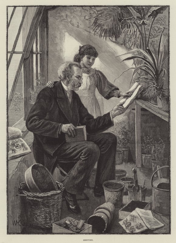 Såtid av William Henry Charles Groome