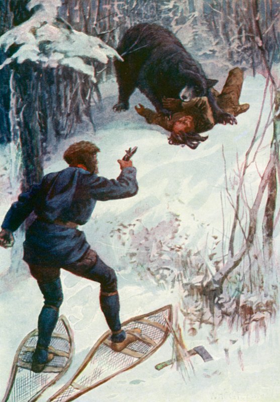 Bjørnen sto over ham og holdt en av armene hans i munnen av William Henry Charles Groome