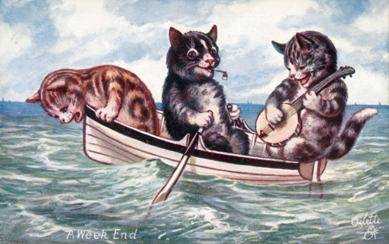 Humoristisk kattepostkort (farge litho) av William Henry Ellam