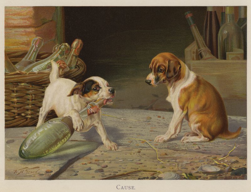 Årsak (chromolitho) av William Henry Hamilton Trood