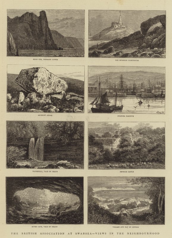The British Association at Swansea, Views in the Neighborhood av William Henry James Boot