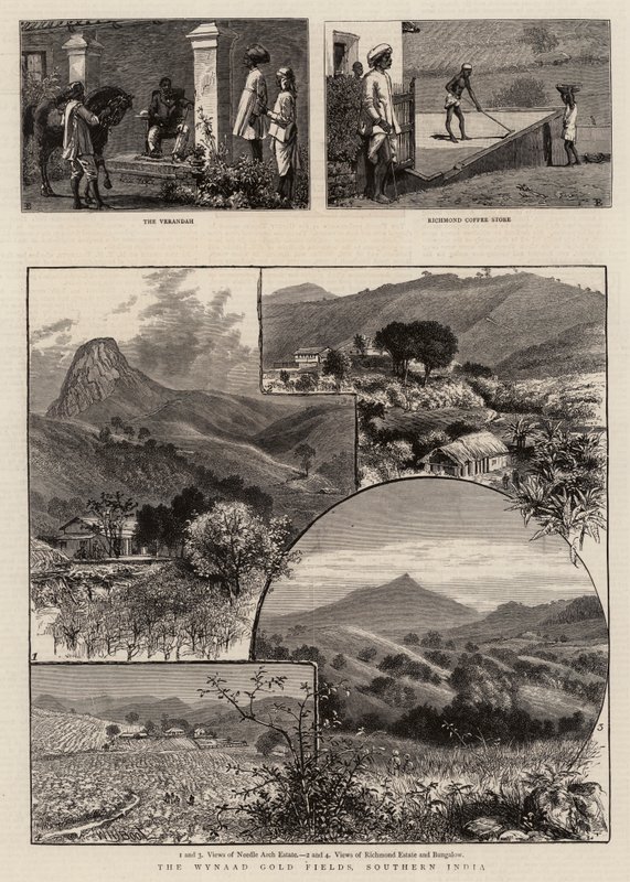 Wynaad Gold Fields, Sør-India av William Henry James Boot