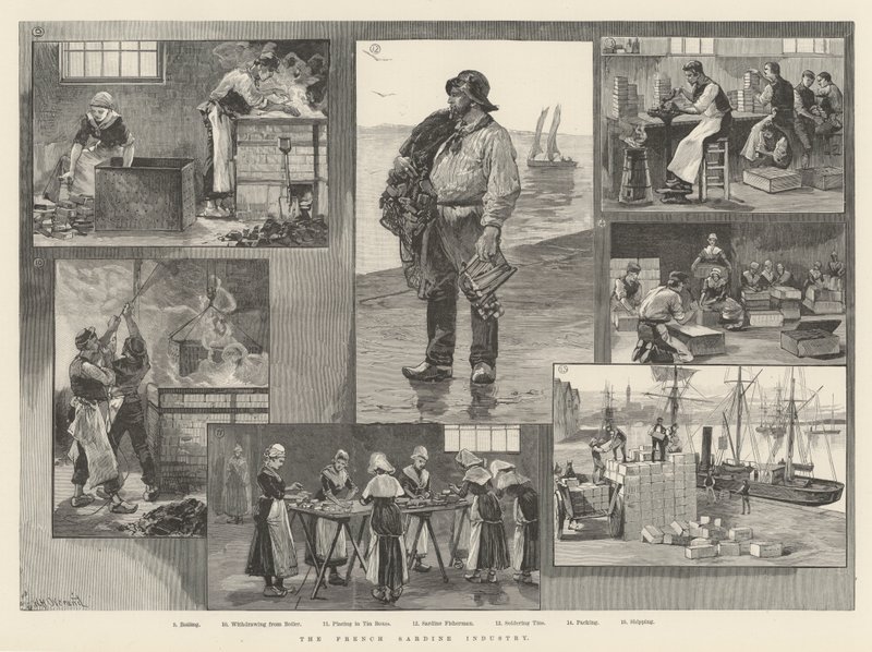 Den franske sardinindustrien av William Heysham Overend