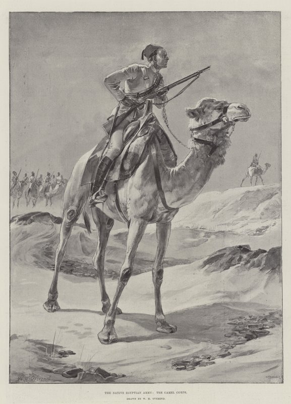 Den innfødte egyptiske hæren, kamelkorpset av William Heysham Overend