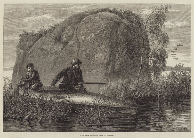 Wild Duck Shooting, gravering vest for Irland av William Heysham Overend