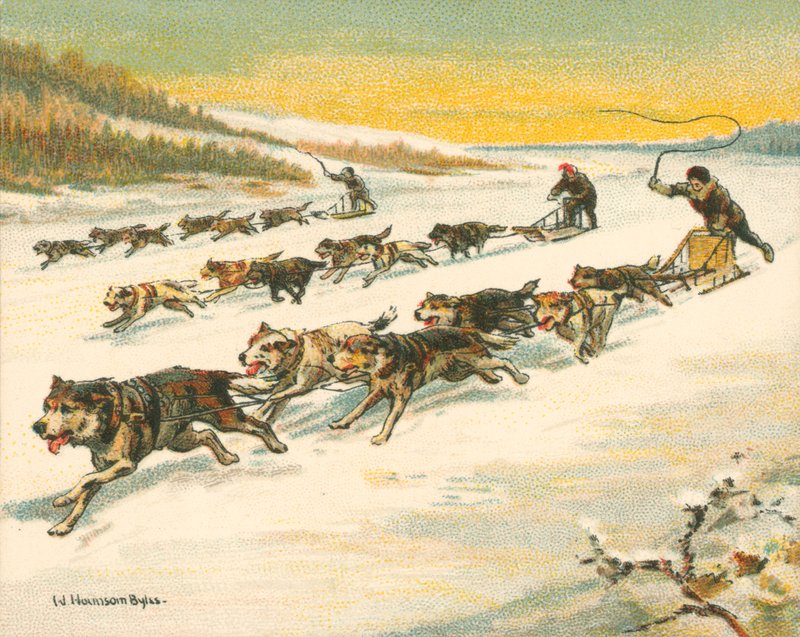 Racer historiske og moderne, kanadiske hundesledeløp (chromolitho) av William Hounsom Byles
