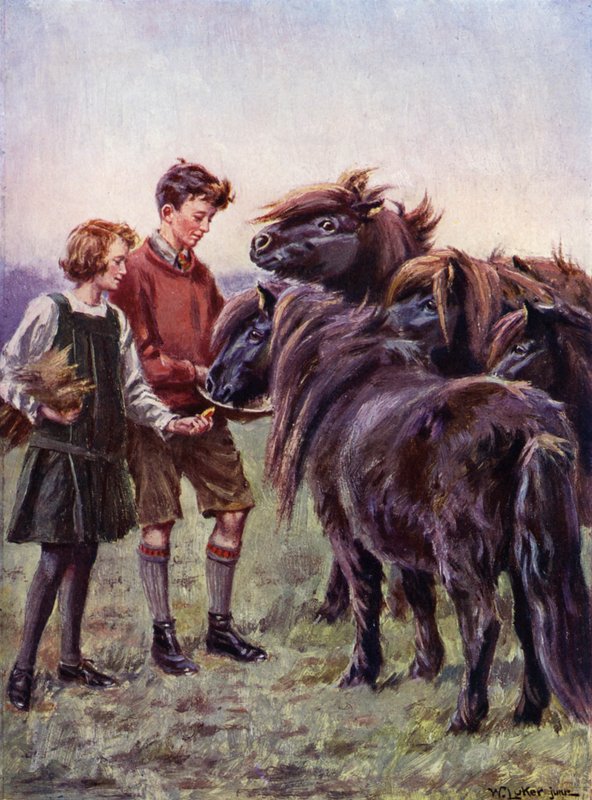 Gutt og jente mater shetlandsponnier (farge litho) av William Luker