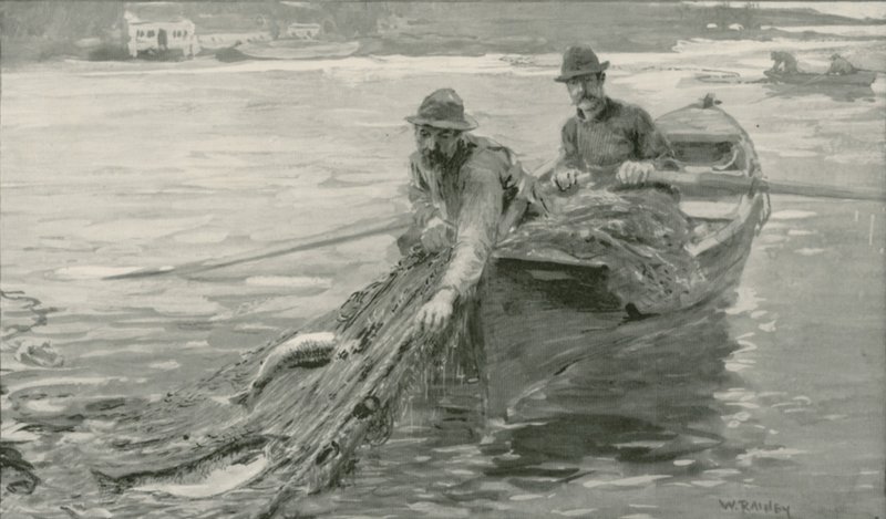 Netting laks på Fraser River, British Columbia av William Rainey