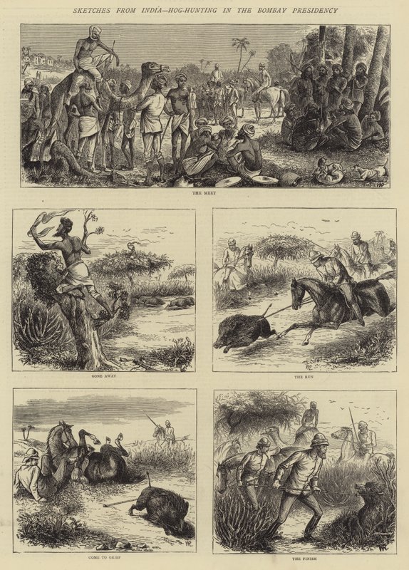 Skisser fra India, Hog-Hunting i Bombay-presidentskapet av William Ralston