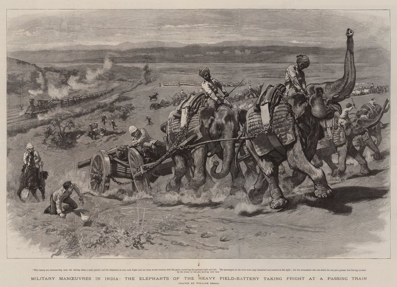 Militære manøvrer i India, Elephants of the Heavy Field-Battery tar skrekk ved et forbipasserende tog av William Small