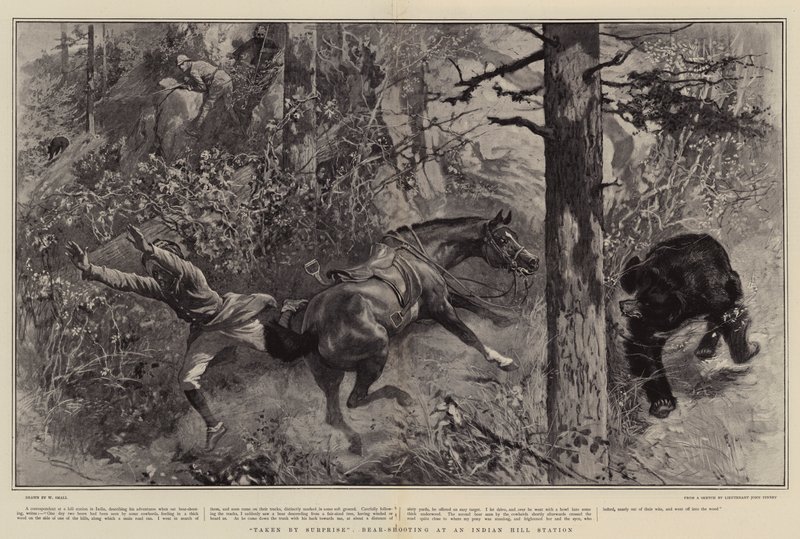 Tatt av overraskelse, Bear-Shooting på en Indian Hill Station av William Small