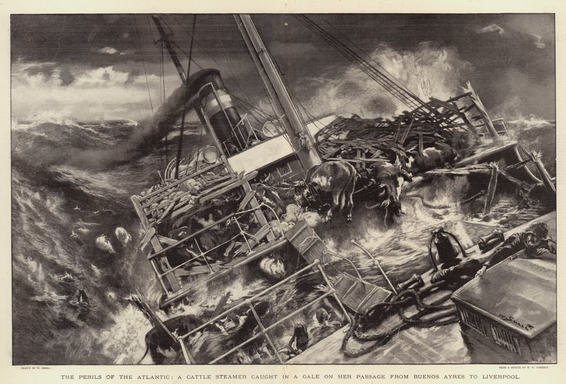 The Perils of the Atlantic, en storfedamper fanget i kuling på passasjen fra Buenos Ayres til Liverpool av William Small