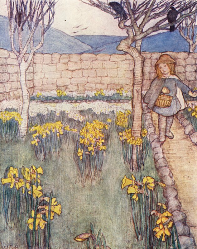  av Winifred Cayley Robinson