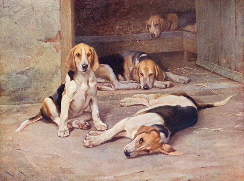  av Wright Barker