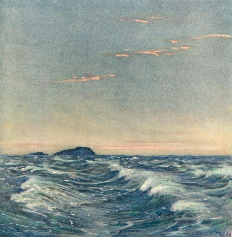 Hvite hester av after Donald Maxwell