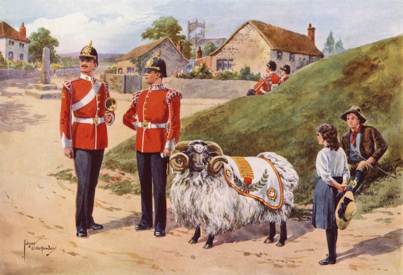 Derby Tom, Pet Ram of the Sherwood Foresters av after Edgar Alfred Holloway