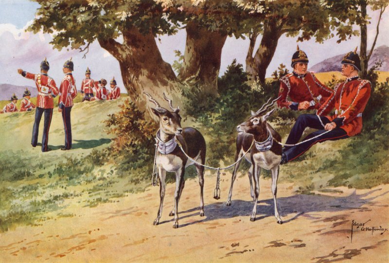 Kjæledyrantilopene fra Royal Warwickshire Regiment av after Edgar Alfred Holloway