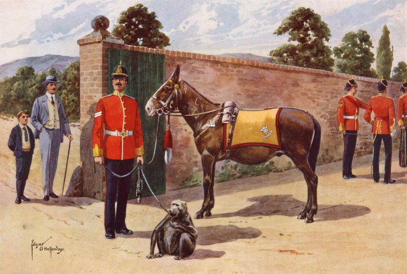 The Pet Mule and Monkey fra Middlesex Regiment av after Edgar Alfred Holloway
