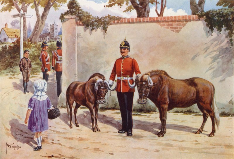 Gnuer (eller White-tailed Gnu), kjæledyr fra South Wales Borderers av after Edgar Alfred Holloway