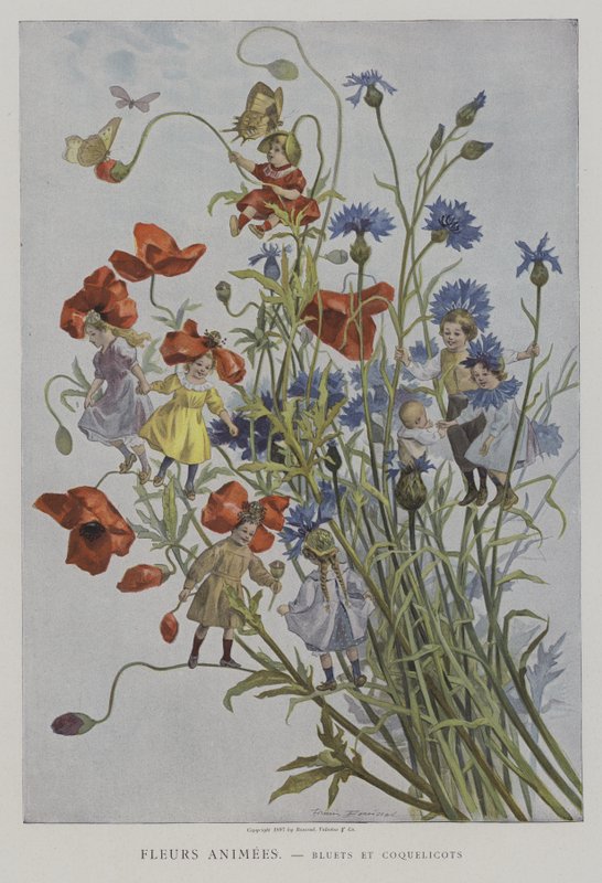 Fleurs Animees. Bluets og Coquelicots. (Animerte blomster: kornblomster og valmuer) av after Firmin Bouisset