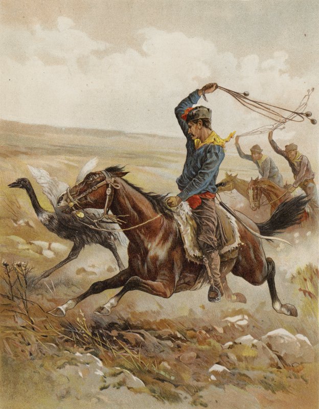 Jakt på struts, Sør-Amerika (chromolitho) av after Frank Feller