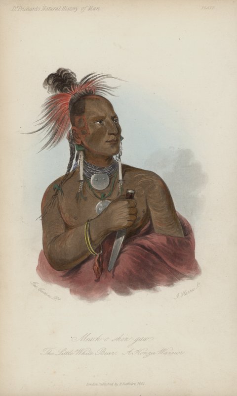 Meach-o shin-gaw, The Little White Bear, A Konza Warrior (akvatint) av after George Catlin