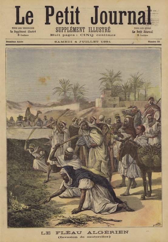 Den algeriske pesten av after Henri Meyer