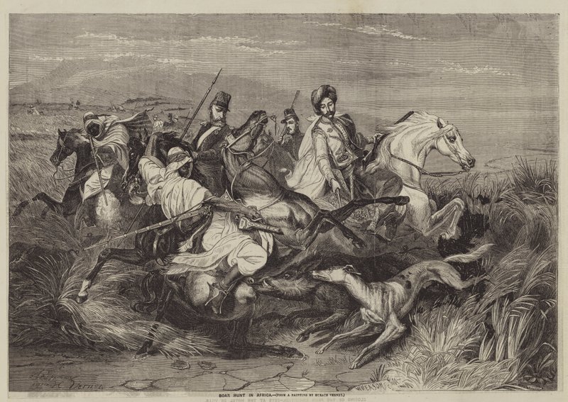 Villsvinjakt i Afrika av after Horace Vernet