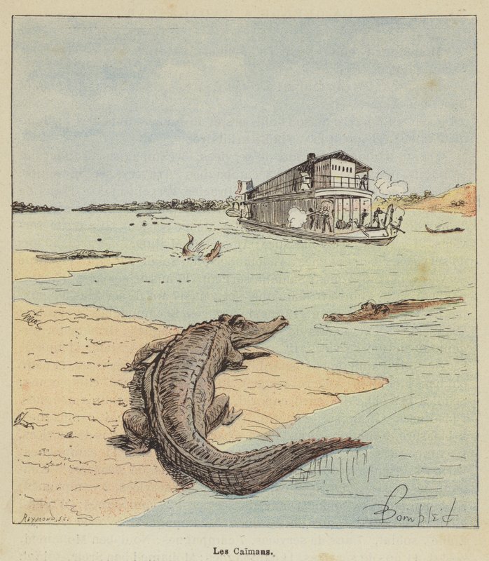 Alligatorene av after Louis Charles Bombled