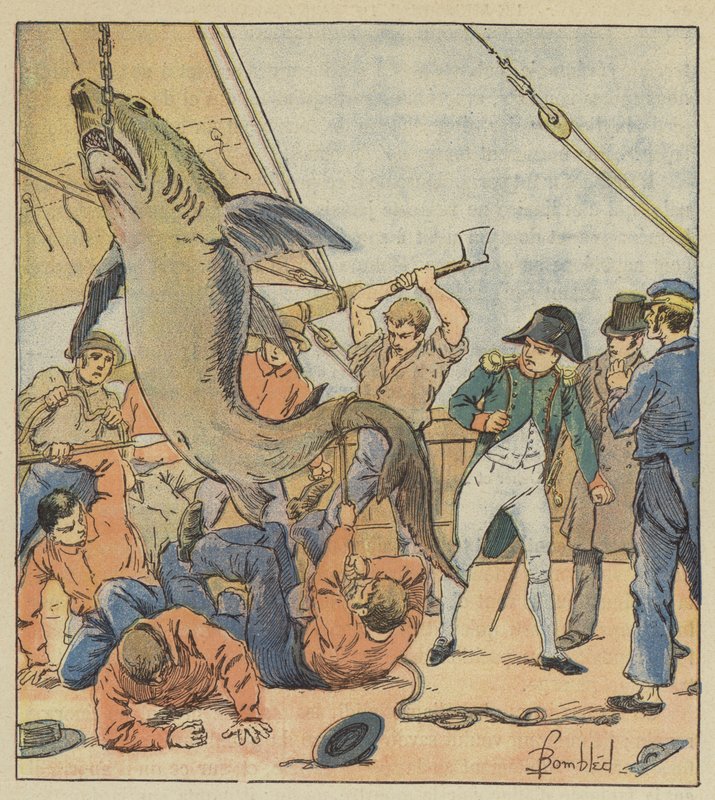 Fangst av en hai av after Louis Charles Bombled