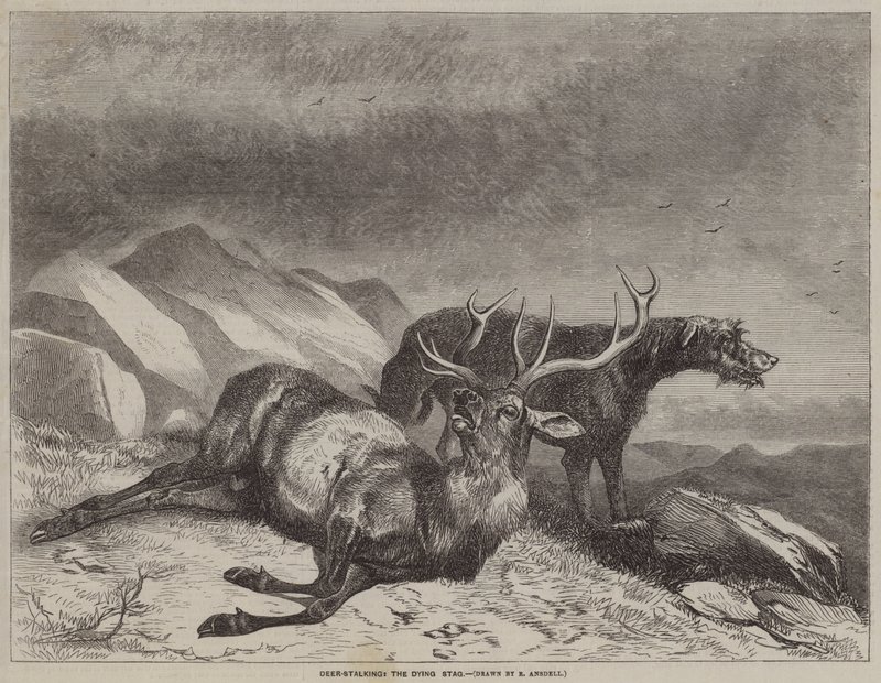 Deer-Stalking, den døende hjort av after Richard Ansdell